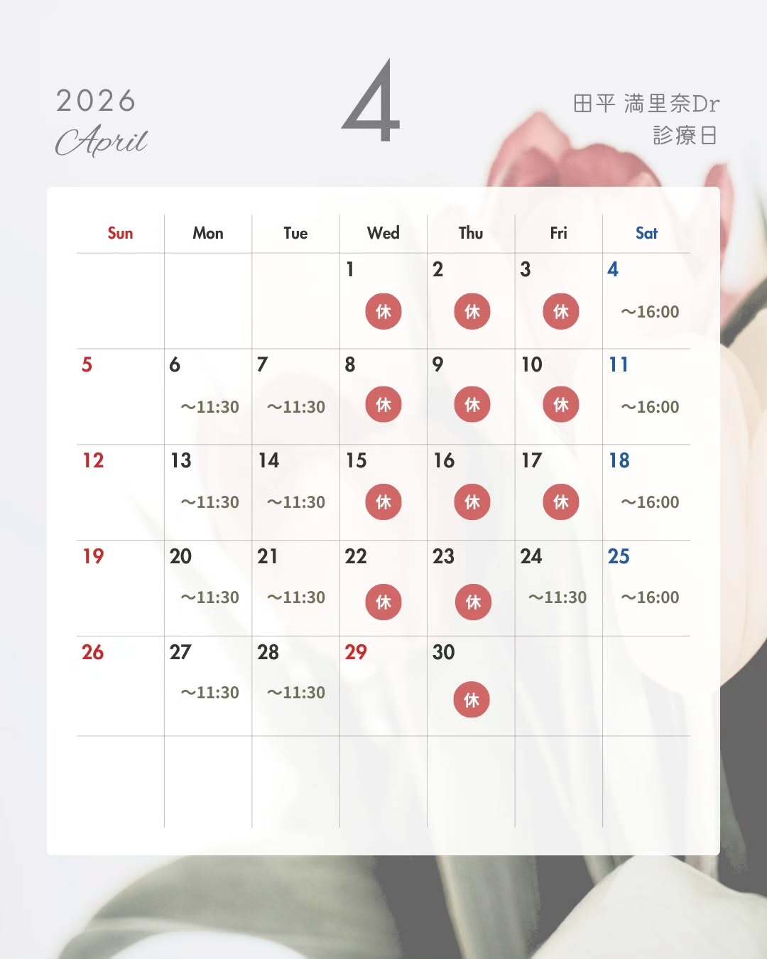 田平満里奈先生　平日診療202604